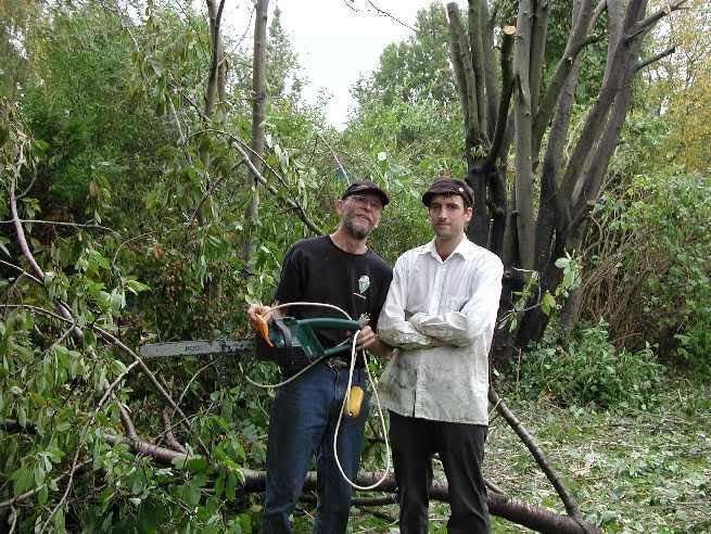 Bild