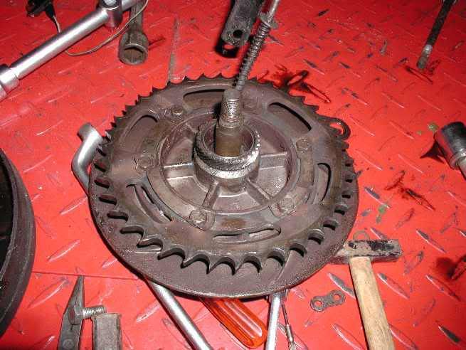 Bild