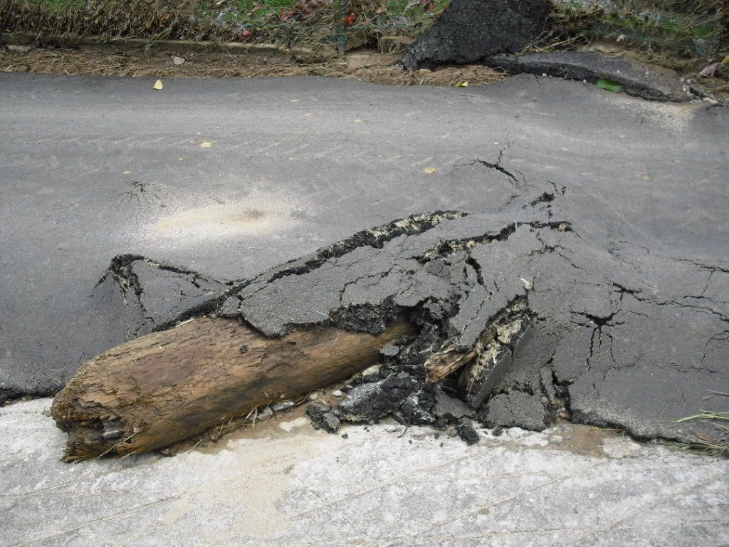 janda kampung gian batang cerita Gian batang lucah janda kampung gian