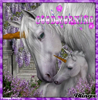 good morning Pictures, Images and Photos