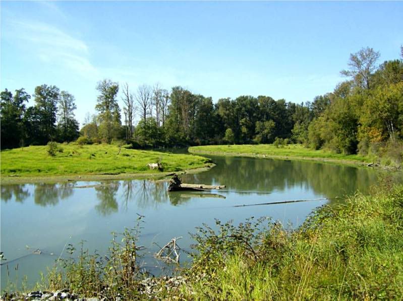 Pictures from Sept. & Oct. - Country Singletree