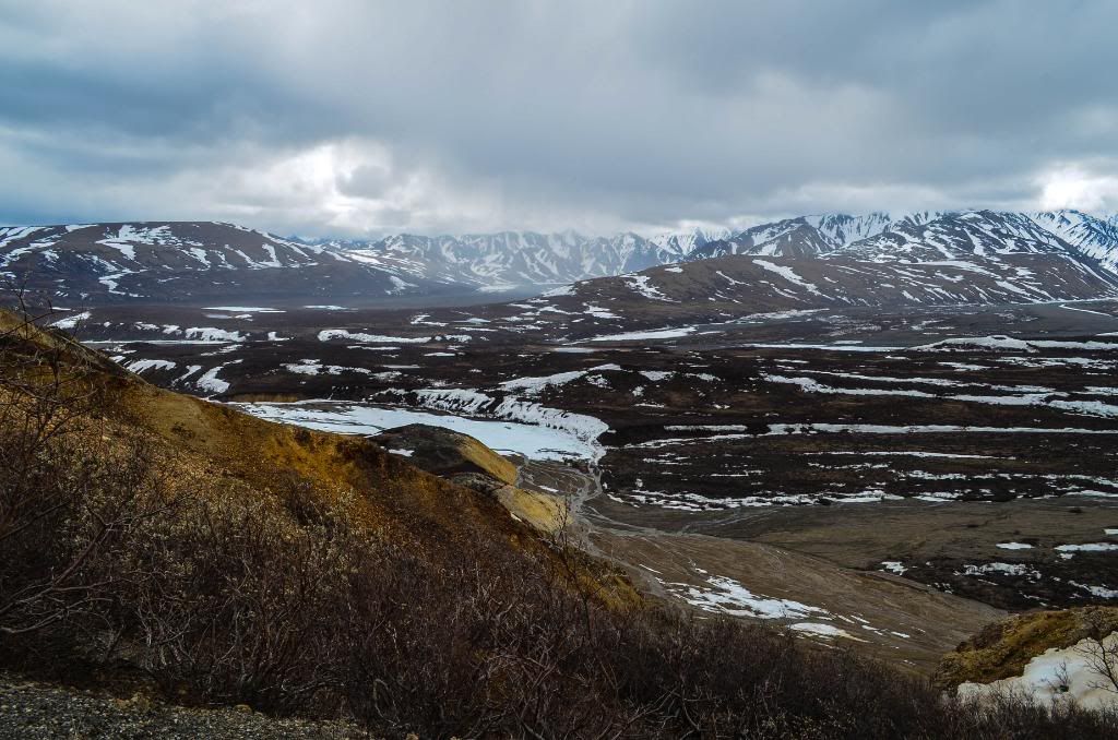 DenaliNationalParkPromentary2.jpg