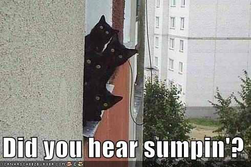 Did you hear sumpin'?