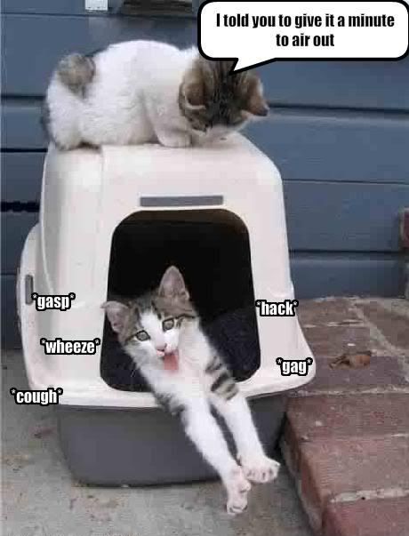 I told you to give it a minute