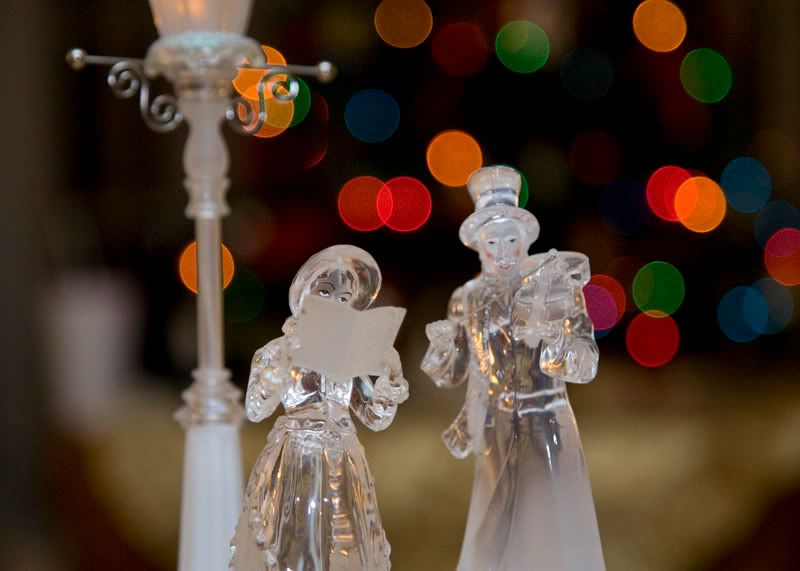 IMAGE: http://i177.photobucket.com/albums/w206/jsolenberg/POTN/20071225-IMG_2835800.jpg