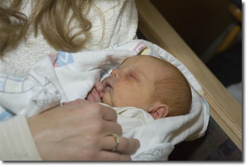 IMAGE: http://i177.photobucket.com/albums/w206/jsolenberg/POTN/20080309-IMG_1039.jpg