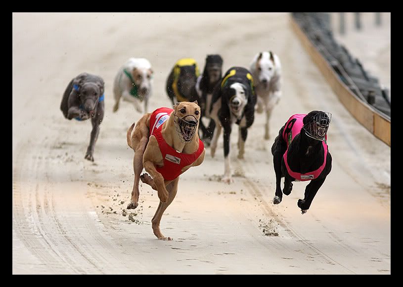 IMAGE: http://i177.photobucket.com/albums/w207/robsheeley/GH01.jpg