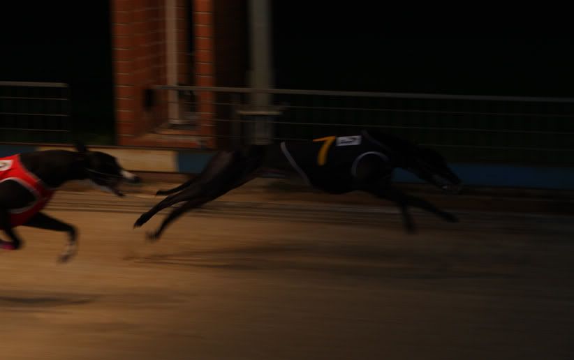 IMAGE: http://i177.photobucket.com/albums/w207/robsheeley/PO.jpg