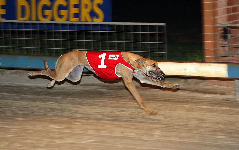 IMAGE: http://i177.photobucket.com/albums/w207/robsheeley/POTN01GH.jpg