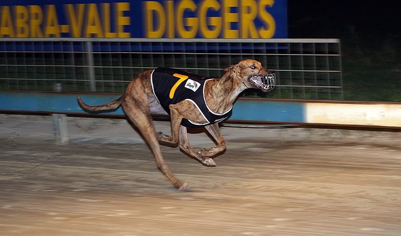 IMAGE: http://i177.photobucket.com/albums/w207/robsheeley/POTN02GH.jpg