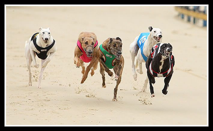 IMAGE: http://i177.photobucket.com/albums/w207/robsheeley/X02.jpg