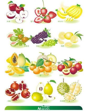 clip art fruit. Fruit Vector Clipart for Adobe