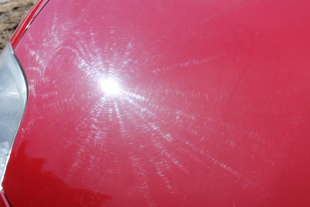 IMG_0673_zps27db50c3.jpg