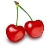 Photo Sharing and Video
Hosting at Photobucket