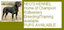 kennel.jpg