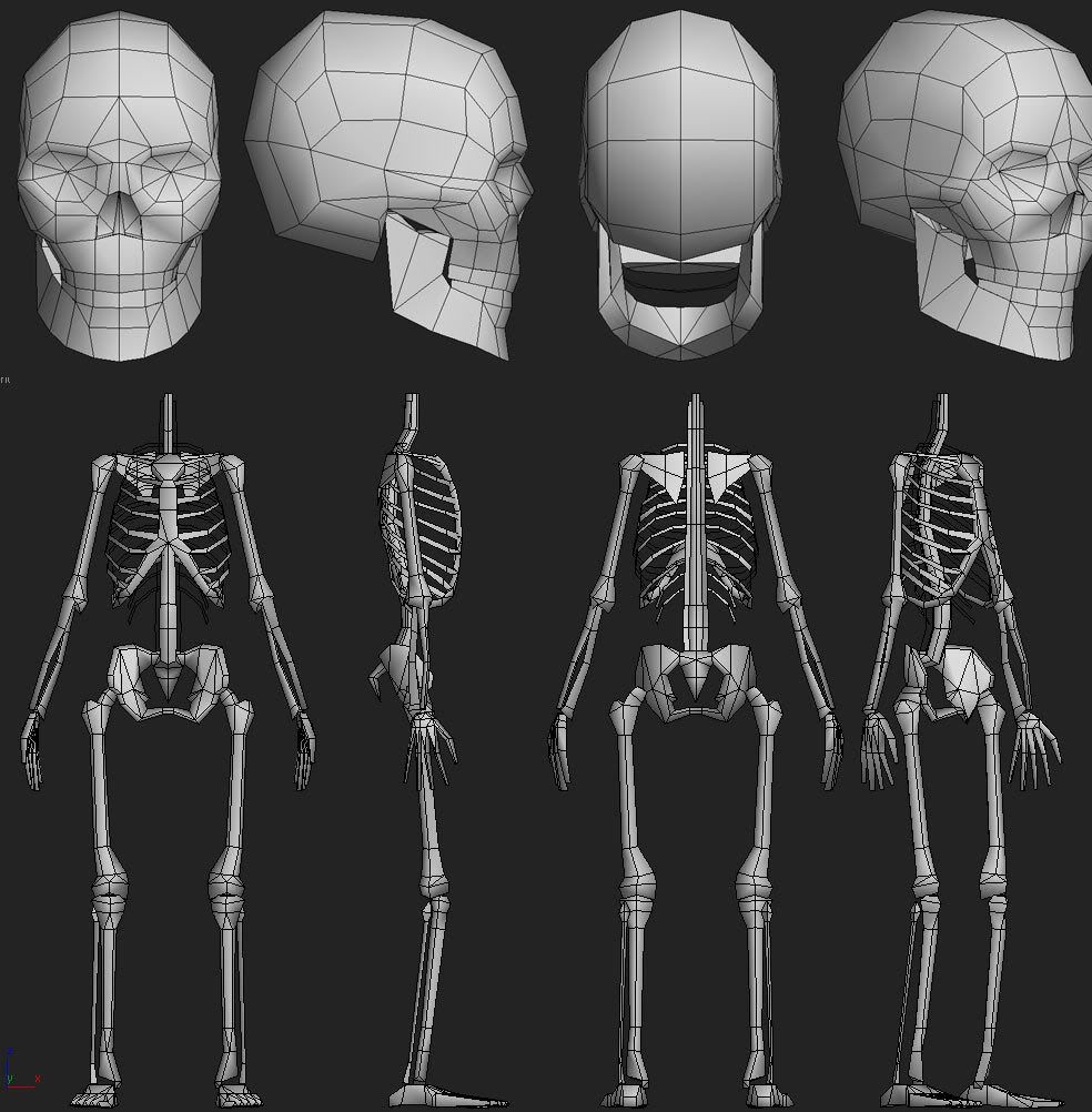 SkeletonWires.jpg