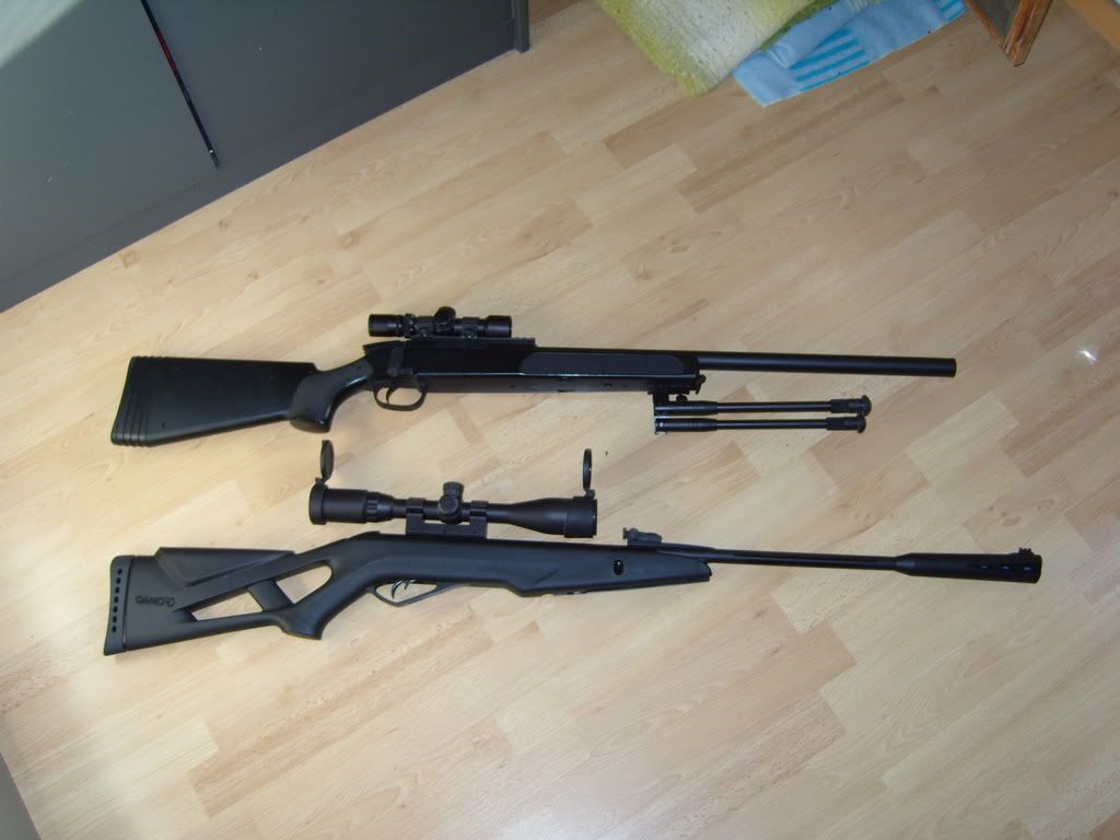 Gamo M6