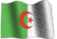 algerian flag Pictures, Images and Photos