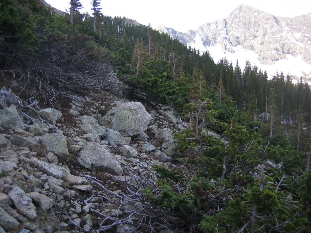 IMG_2904.jpg