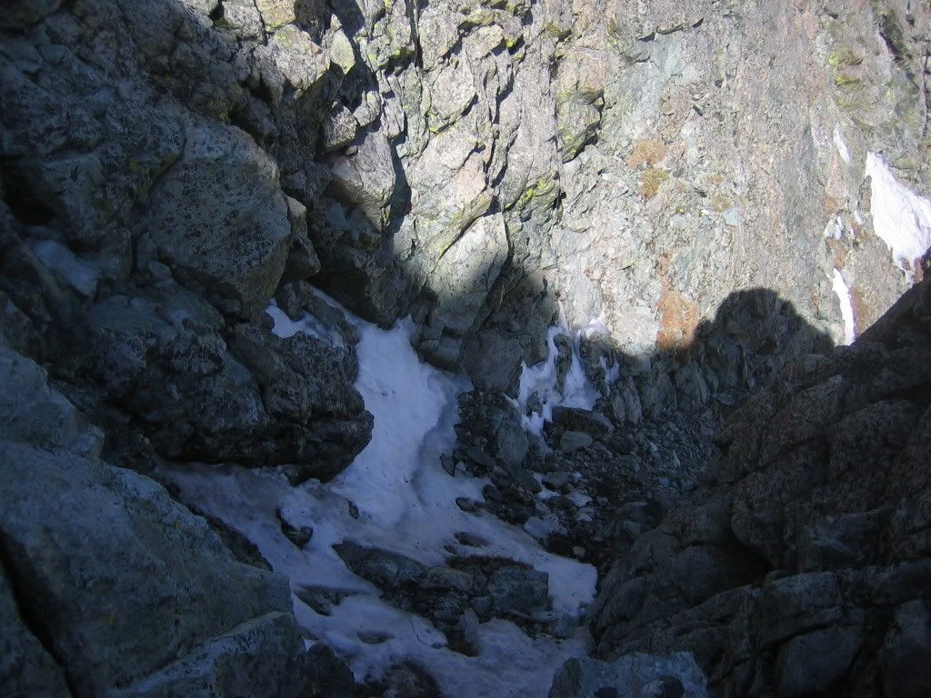 IMG_2932.jpg