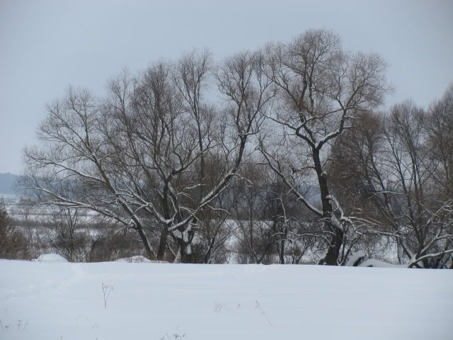 Поленово