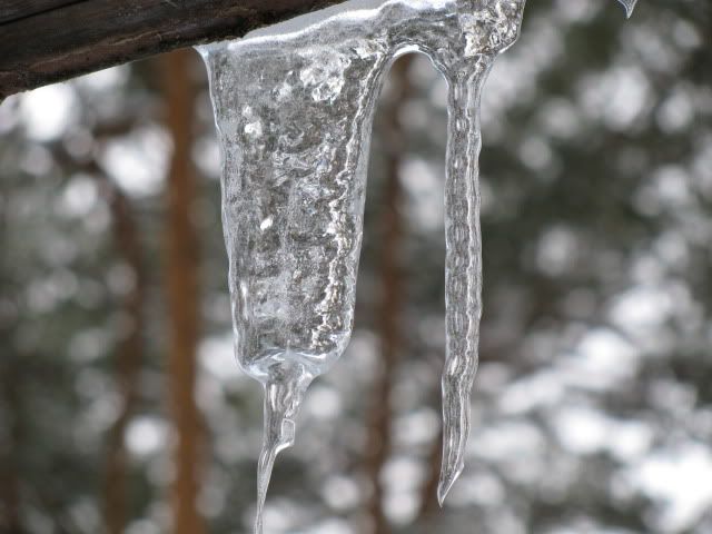 Поленово