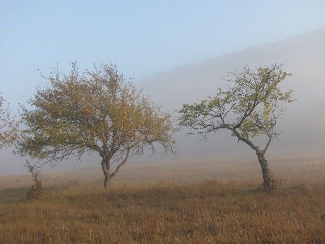 Осенние краски Крыма