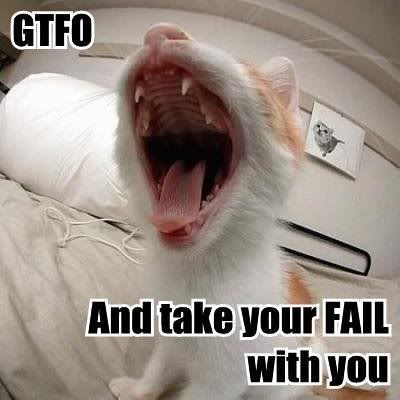 gtfo_take_fail_cat_2-1.jpg