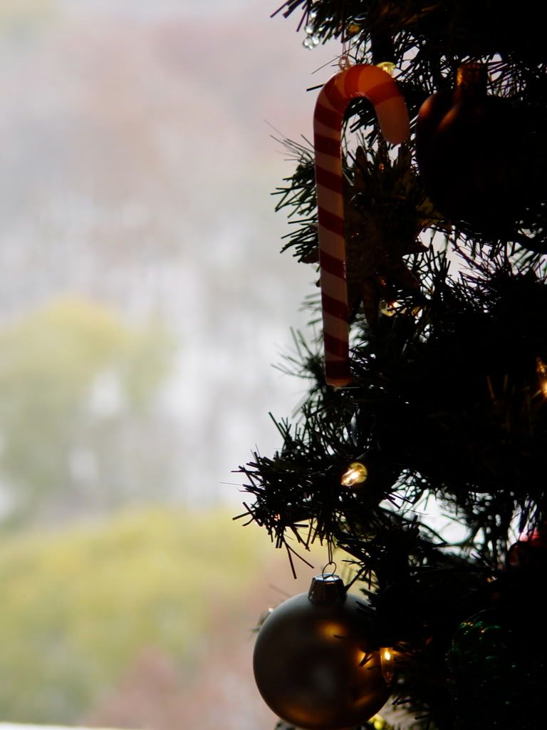 the adults are smoking and joking...