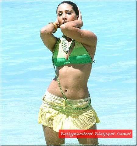 kim sharma bikini