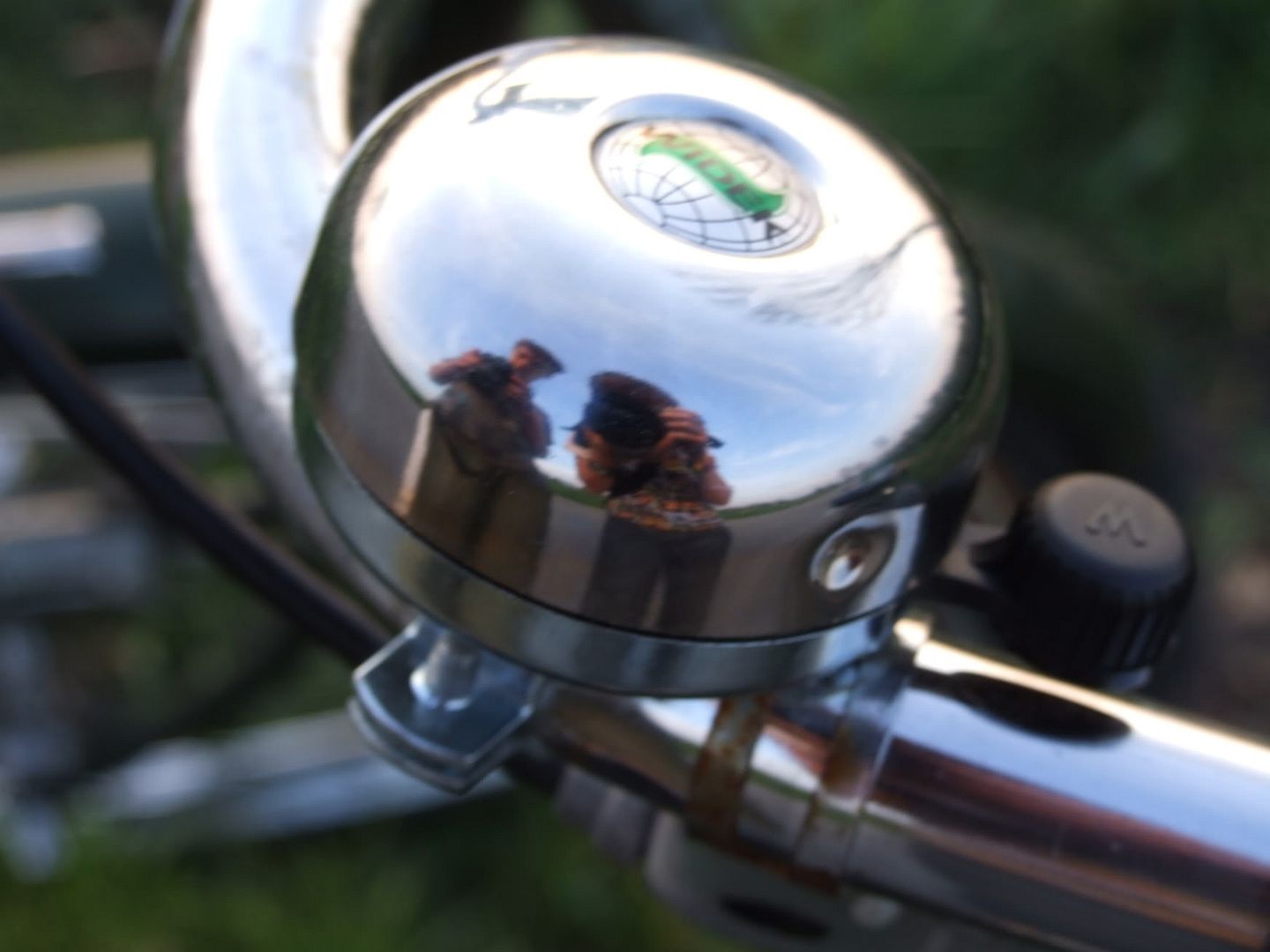 [img width=500]http://i177.photobucket.com/albums/w219/Slagsahne/2007_011014-4-20070162.jpg[/img]