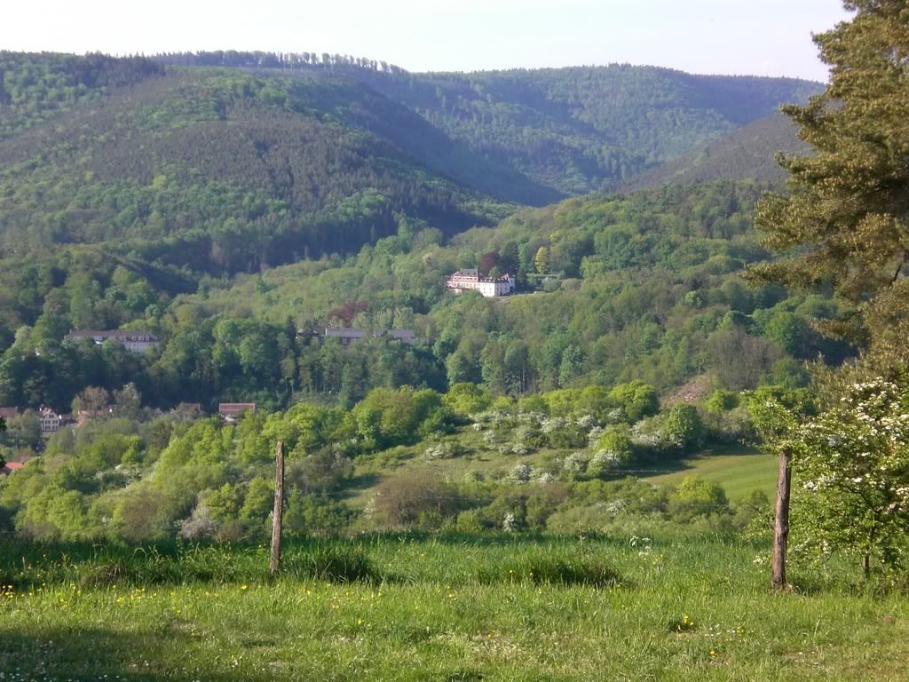 http://i177.photobucket.com/albums/w219/ninjadad66/2007_0425Erfurt0032.jpg