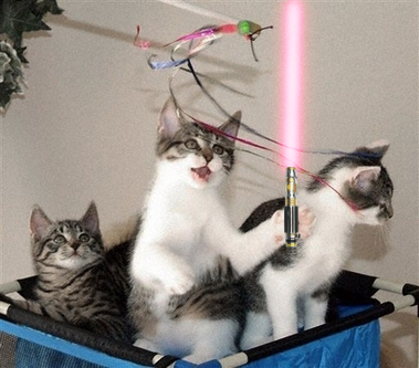 STARWARSCAT.png