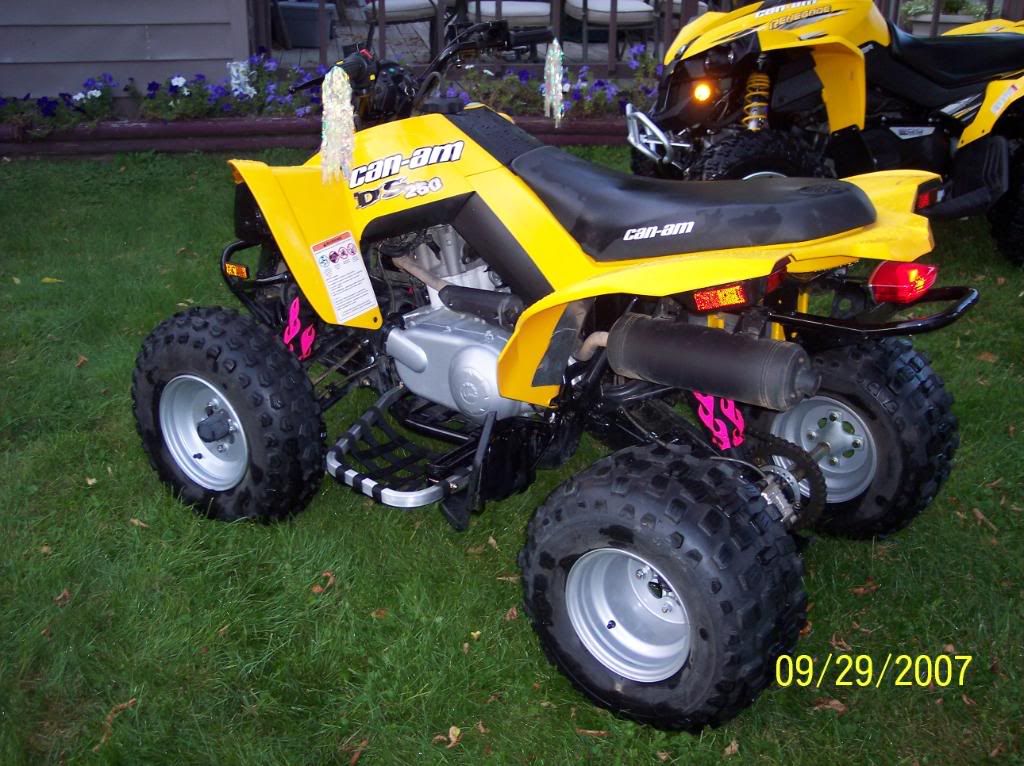 DS 250 nerf bars DS discussion canam ATV Forums