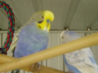 projectPics036.jpg