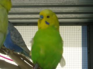 projectPics037.jpg