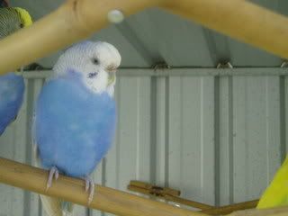 projectPics038.jpg