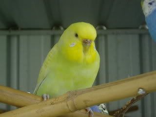 projectPics040.jpg