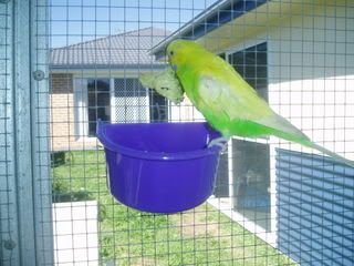 projectPics055.jpg