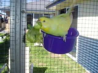 projectPics067.jpg