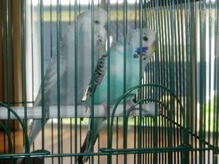 projectPics083.jpg