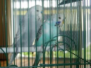 projectPics084.jpg
