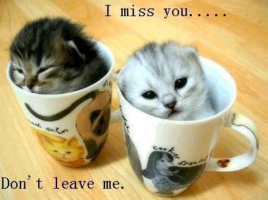 i miss you Pictures, Images and Photos