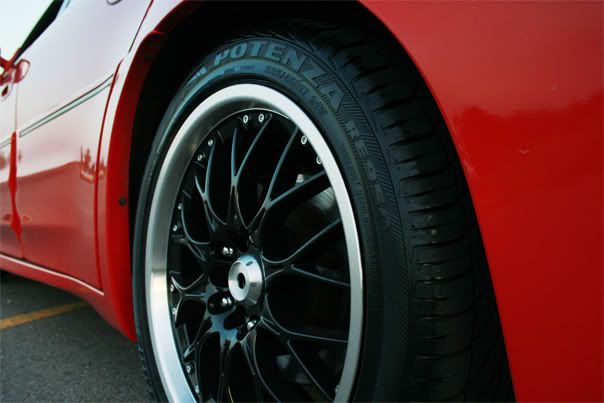 IMAGE: http://i177.photobucket.com/albums/w222/woodsj6/IMG_2884.jpg