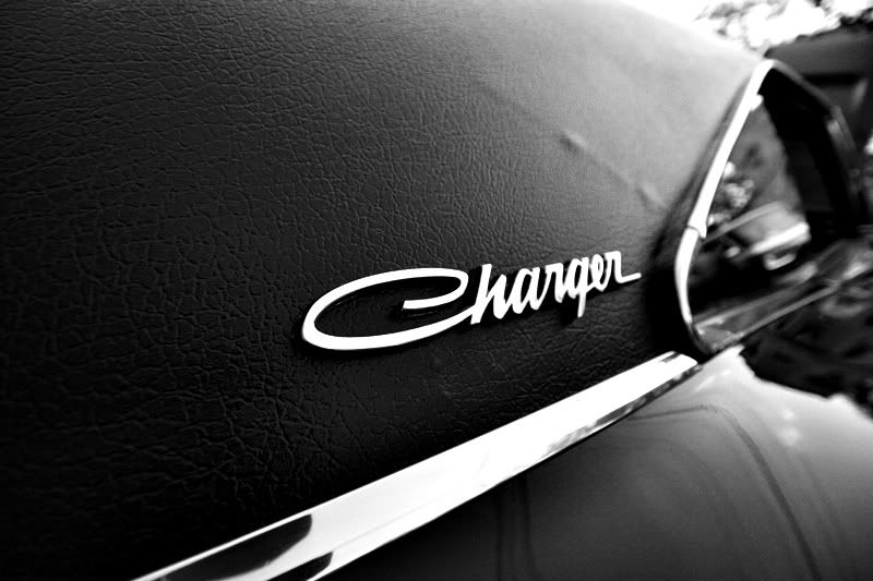 IMAGE: http://i177.photobucket.com/albums/w222/woodsj6/IMG_5856.jpg