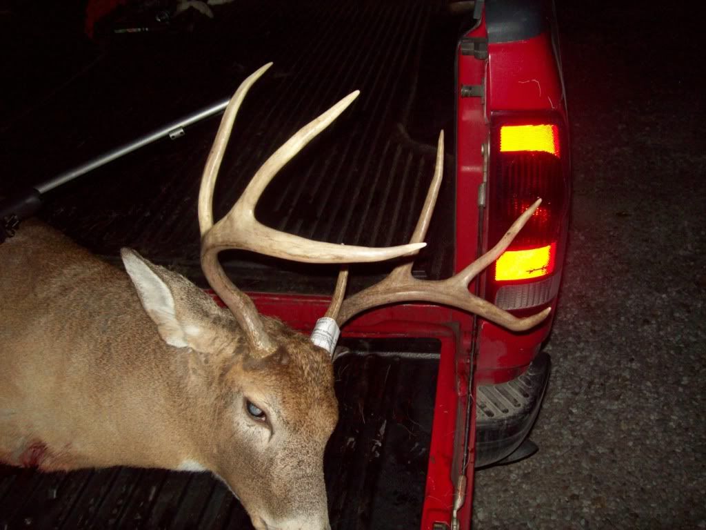2010buck.jpg