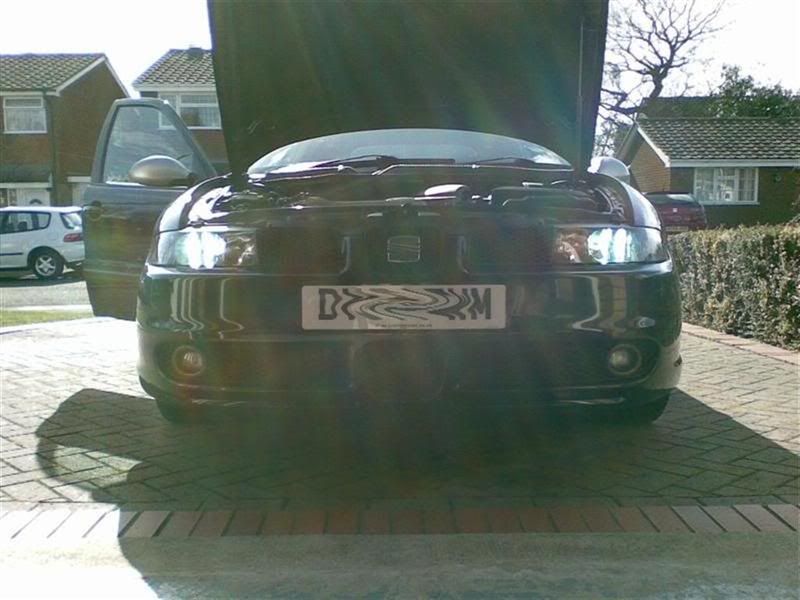 picture16.jpg