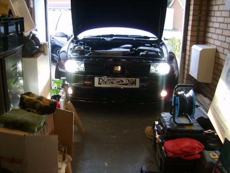picture31.jpg