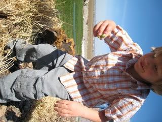 Photo Sharing and Video Hosting at Photobucket