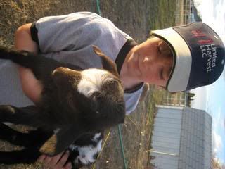 Photo Sharing and Video Hosting at Photobucket